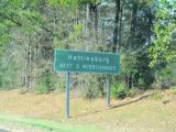 Hattiesburg, MS real estate – Mississippi Property-Commercial  Land Auction