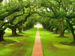 PRINTEMPS NATURE EN EVEIL