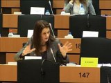 Sandrine Bélier sur le PIB en commission Environnemeny