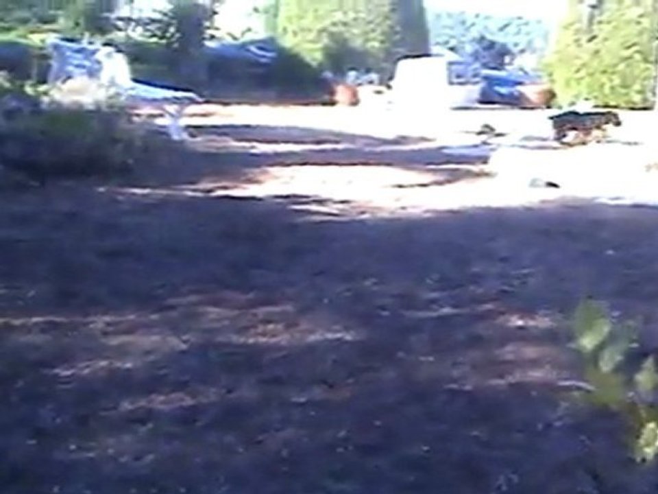 Gus et Gustave jouent - 18-03-2011