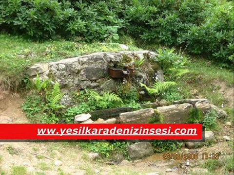 Hürdağ Aydın GÜZEL BİR ORDU TURU YAPLIM GEL HELE ŞÖYLE Yeşilce Güzelleri haydi karadeniz el el Mesudiye Yeşilce paylaş