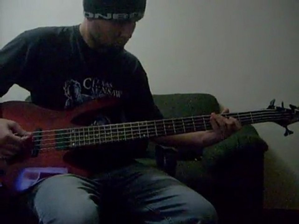 Wilson Deoliveira - Heart in a Cage ( Linha de Baixo)