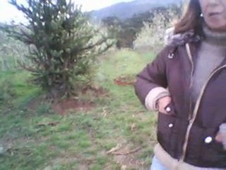 BOM JARDIM FAZDA ILKA