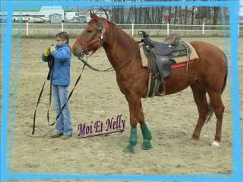 Tout Mes Montages La Vidéo