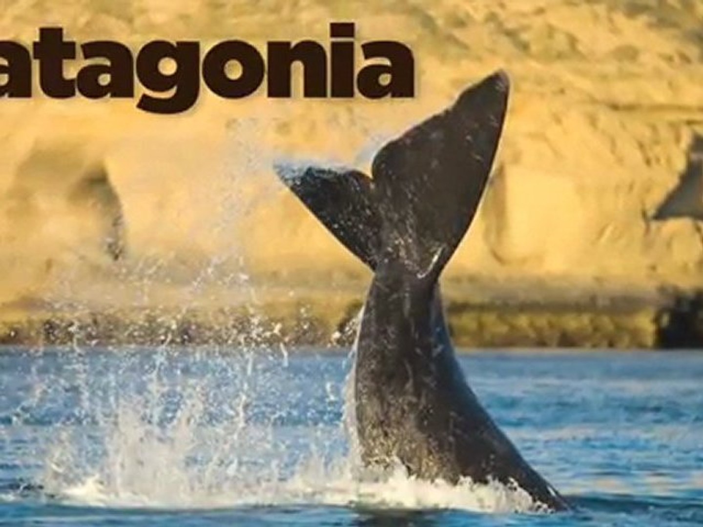 Argentina - Top 5 Travel Destinations