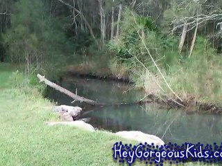 Jamieson Park, Narrabeen - Kids Parks, Playgrounds & Venues