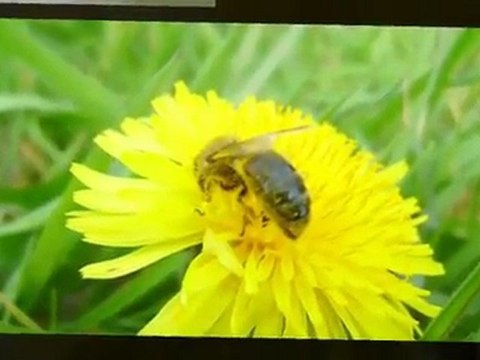 Mes plus belles photos