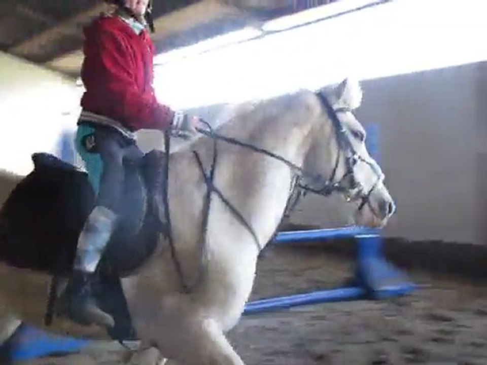 Xaste Dan Annavi :))♥