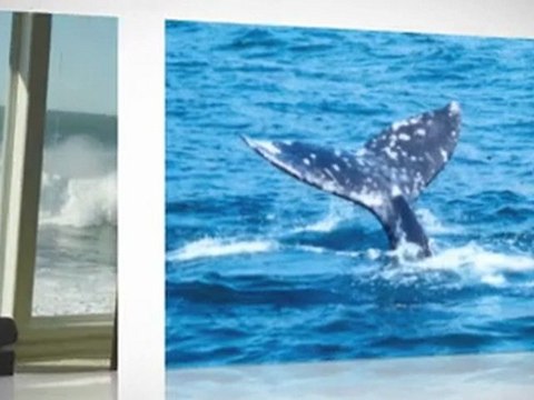 Depoe Bay Vacation Rental Coastal Breakers