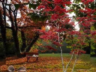 Serca dar - Beata i Marcin