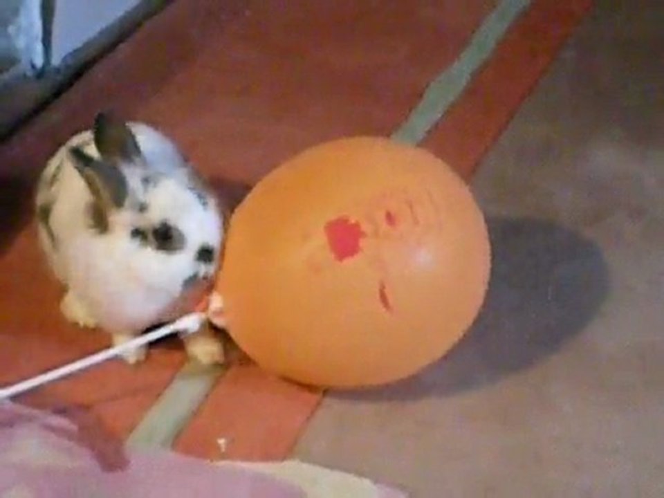 Fan du ballon orange
