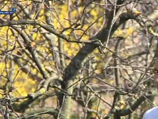 Obernai: le lycée agricole fait peau neuve!