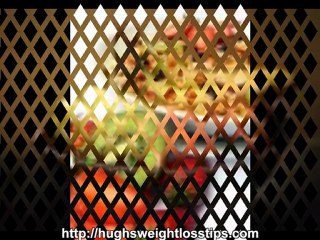 An Artist Can Learn About The Top Best Weight Loss Foods