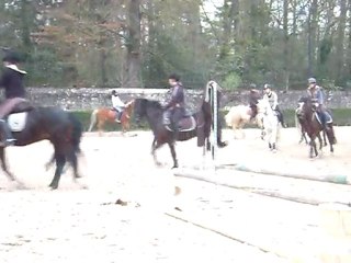 19.03.11, Simbad & Gwen, Mise sur la main II.