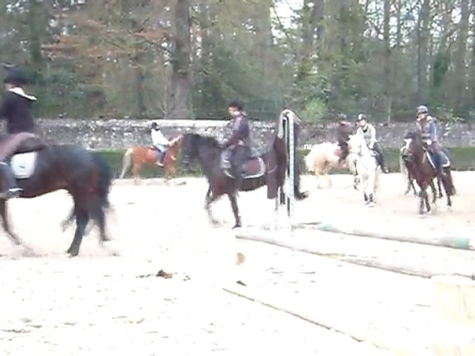 19.03.11, Simbad & Gwen, Mise sur la main II.