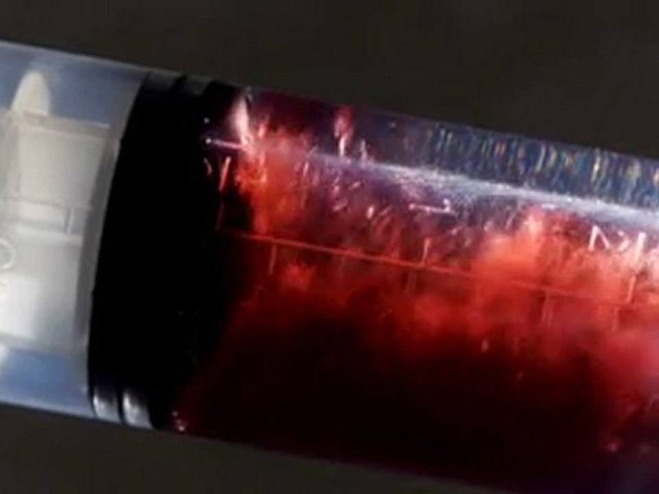COLINAS DE SANGUE - trecho do filme