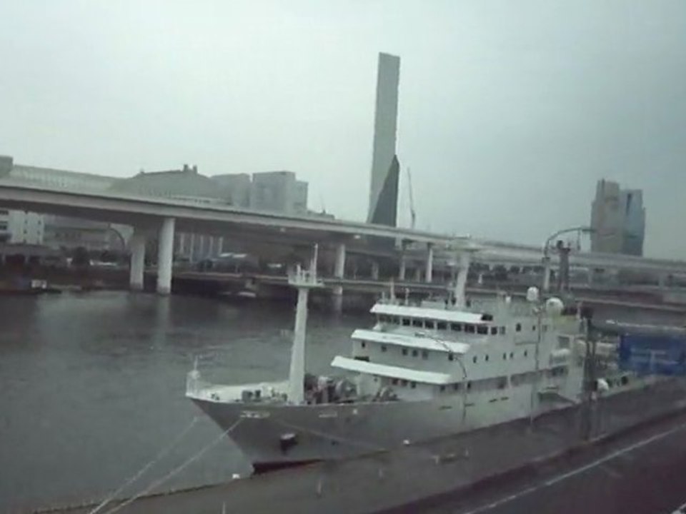 Survol de la Baie de Tokyo