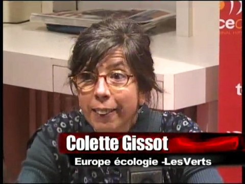 Cantonales 2011 - CAEN 4 : Casini et Michard en tête