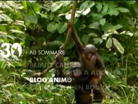 Sommaire émission 30 millions d'amis 27 03 2011