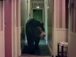 THE SHOES  Cover Your Eyes - Video Teaser Exclu