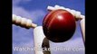 watch South Africa vs New Zealand live cricket match icc world cup online