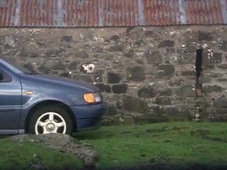 Blooded Movie 2011 Scary Sneak Peek