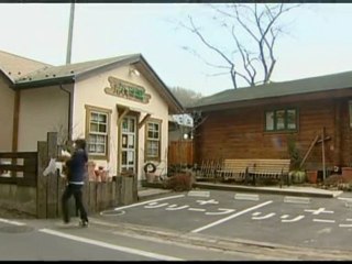 Porpoise rescued from tsunami
