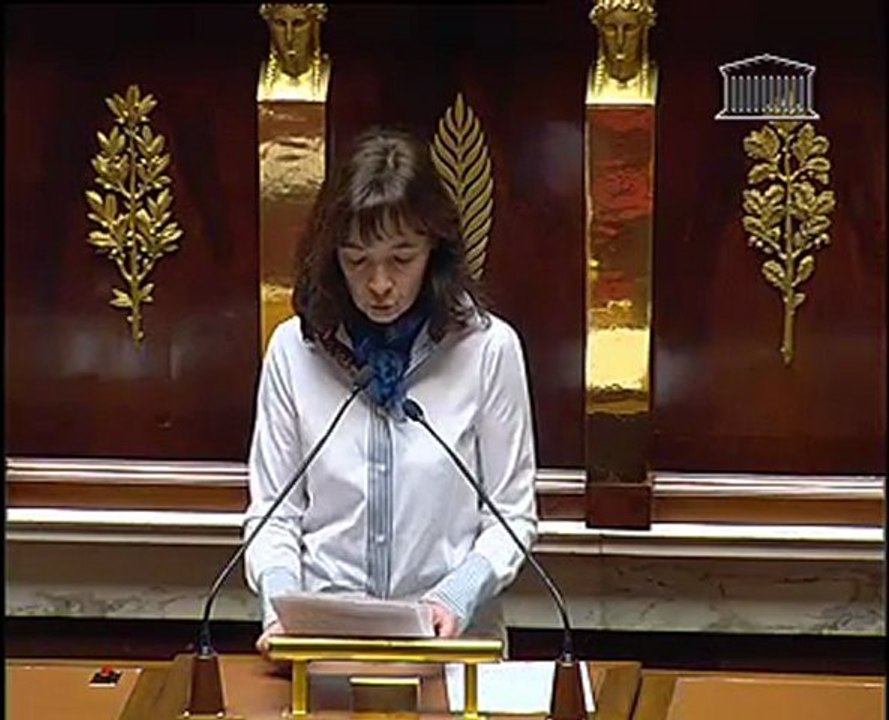Bouclier rural: intervention de F MASSAT en séance