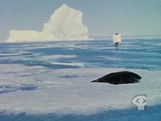 AU PAYS DES JOURS SANS FIN