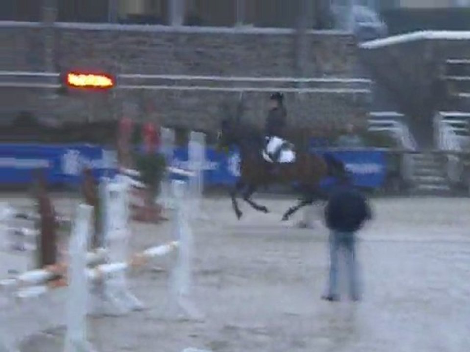 Telline du riou / 4 ans / Galoubet du marais x Fort de la cour