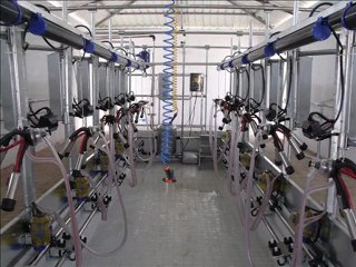 NMS BALIKKILCIGI SAGIM ODALARI