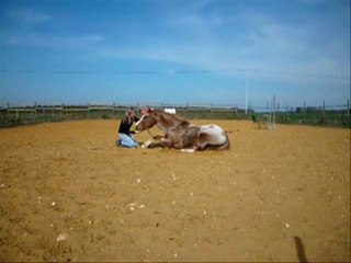 Bébé Fafa au sol / 20 mars 2011