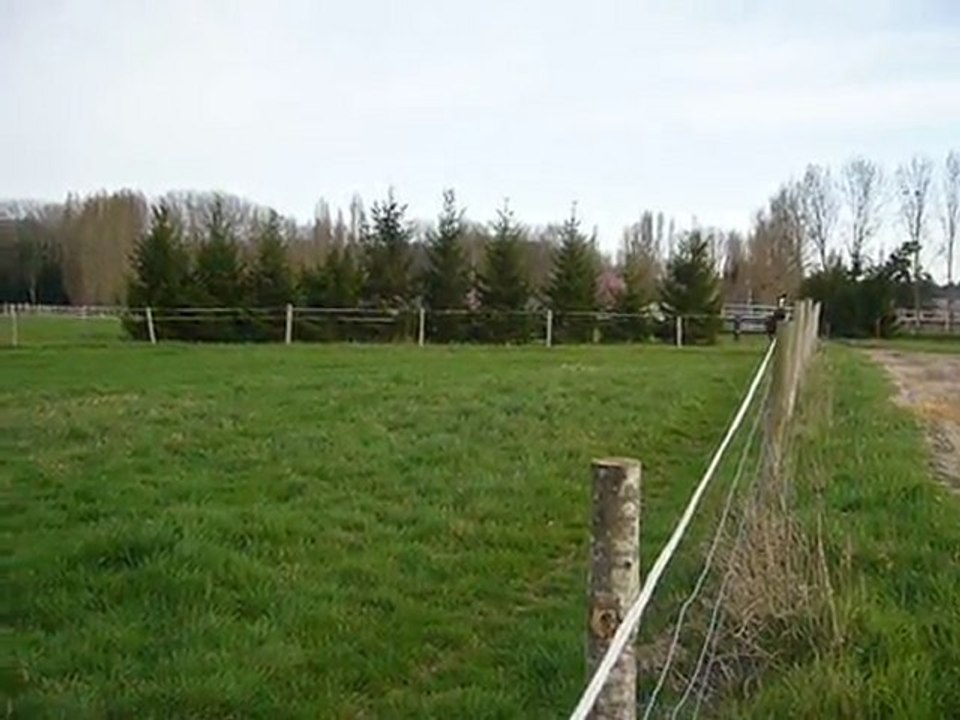 Révérence 20 03 2011