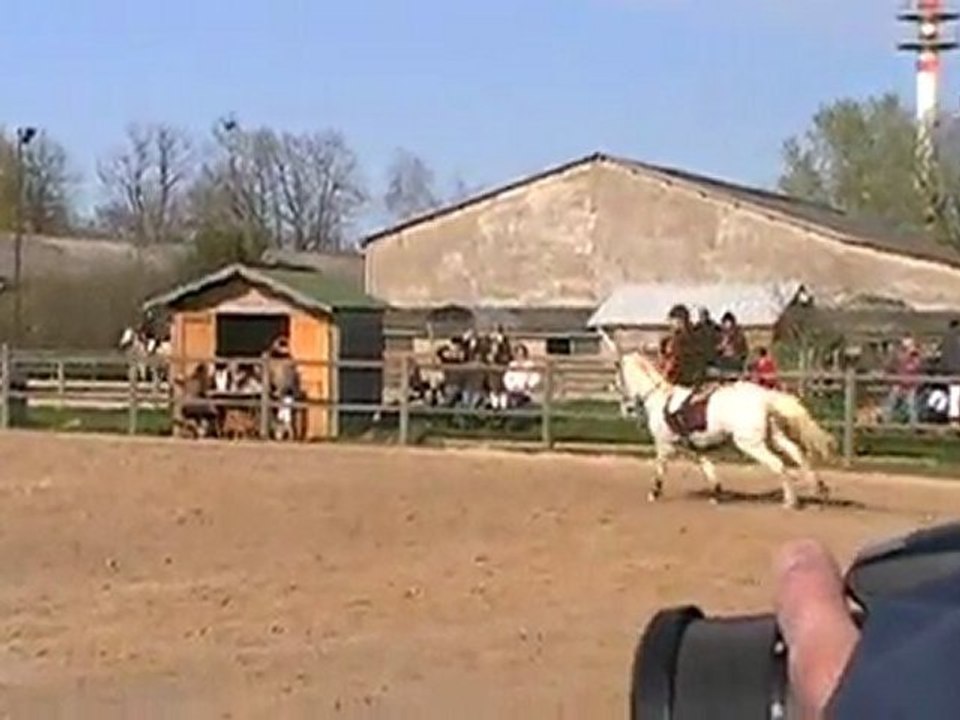 Le clos des groges. Poney 1