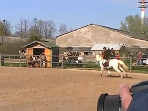 Le clos des groges. Poney 1