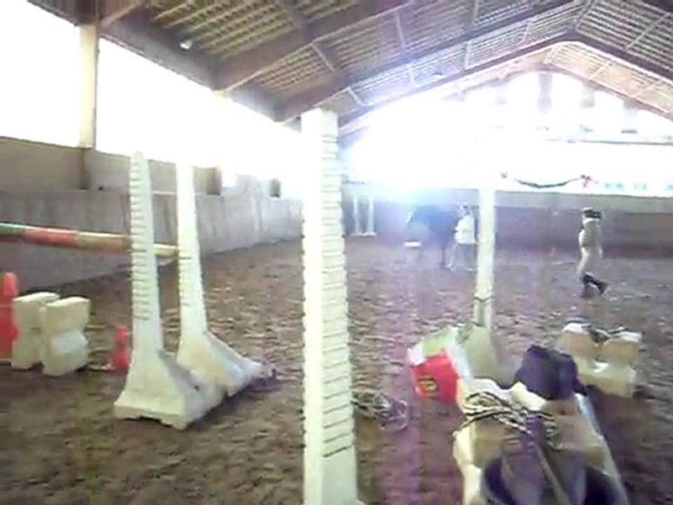 20.03.11- Simbad saut en liberté. Oxer 115.