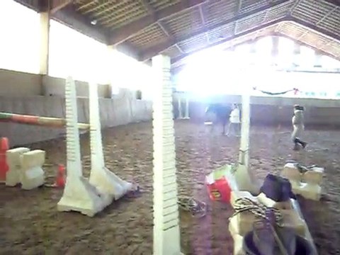 20.03.11- Simbad saut en liberté. Oxer 115.