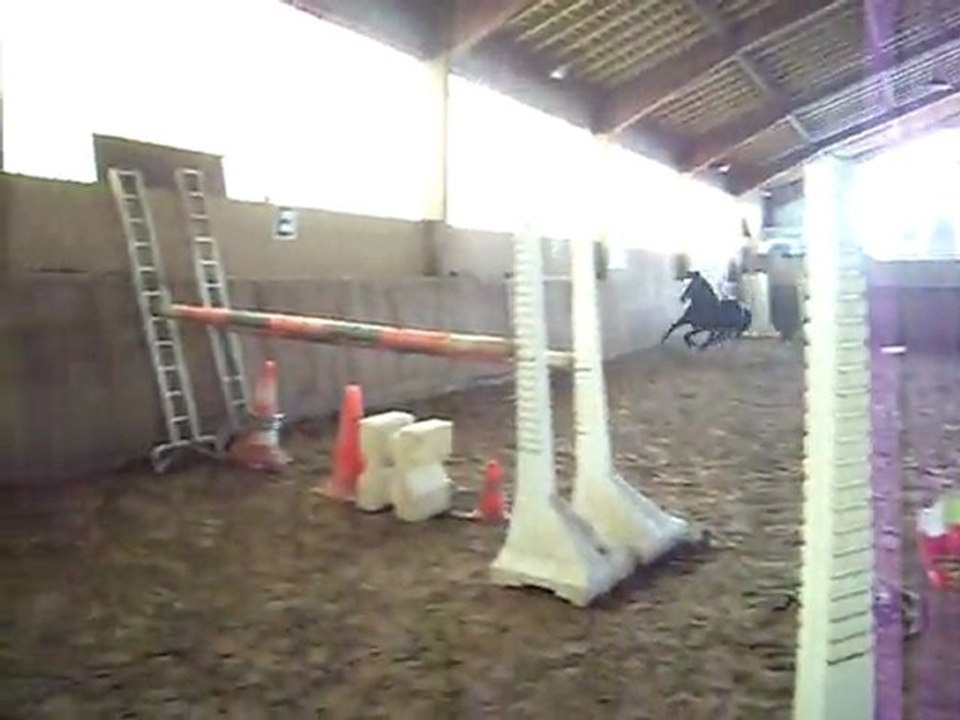 20.03.11- Simbad saut en liberté. Oxer 115. II