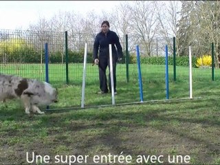 Apprentissage du slalom selon la méthode 2x2 de Susan Garrett