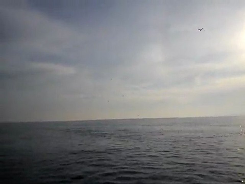 MOV00591