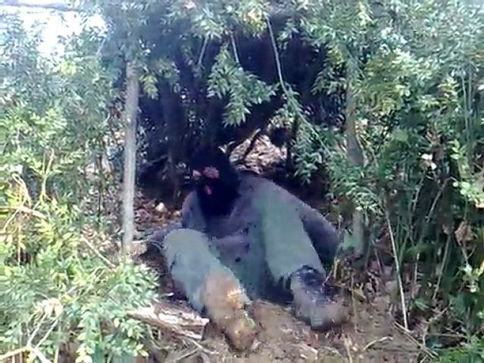Cache.