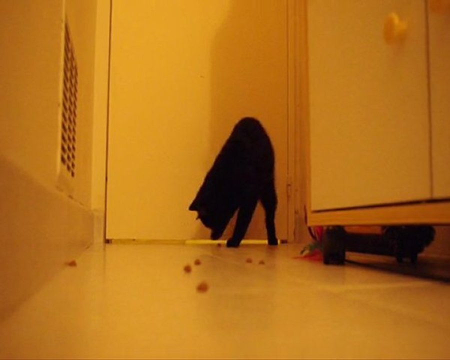 2011/03/20 - Fufu  video08