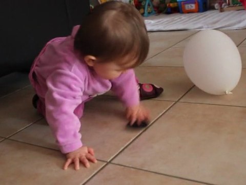 Callista marche quatre pattes