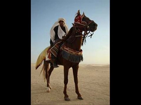 Ilahiler Murat Gögebakan-Sultanim islamyeri.com