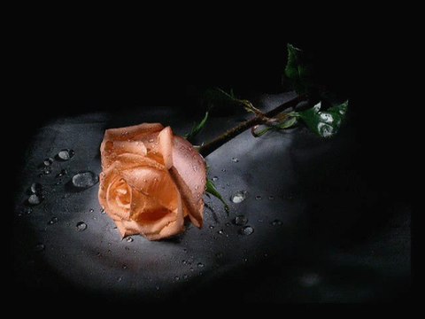 Ilahi Mehmet Emin Ay Dogdu üzerimize-Talealbedru aleyna - islamyeri.com