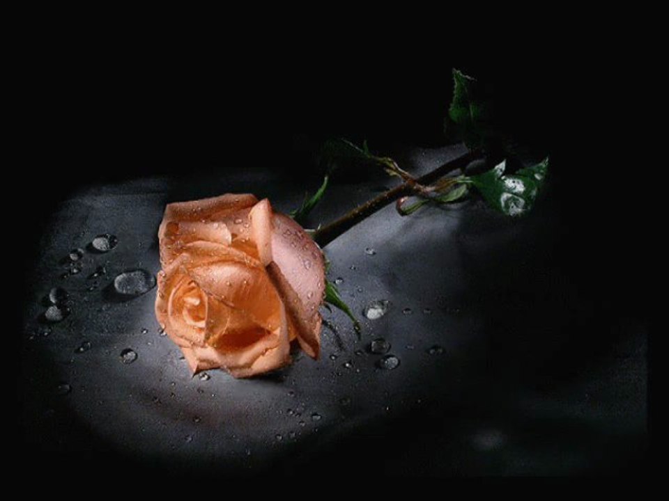 Ilahi Mehmet Emin Ay Dogdu üzerimize-Talealbedru aleyna - www.islamyeri.com