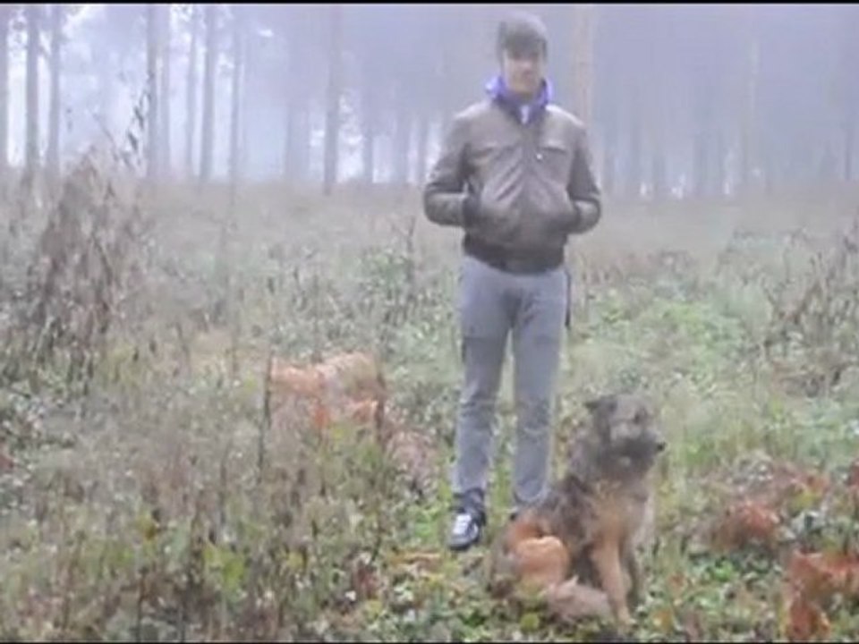 Chegliama Pan - Pray, Then Leave [Music Video]