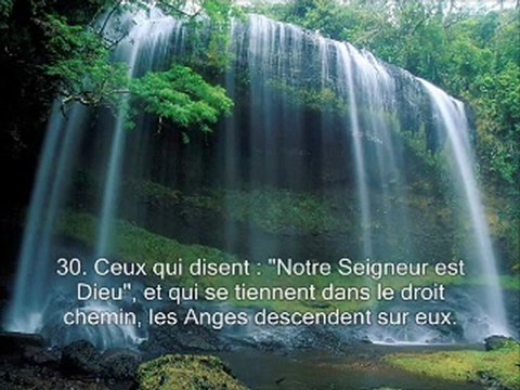 Sourate 41 Les versets detailles (Fussilat)