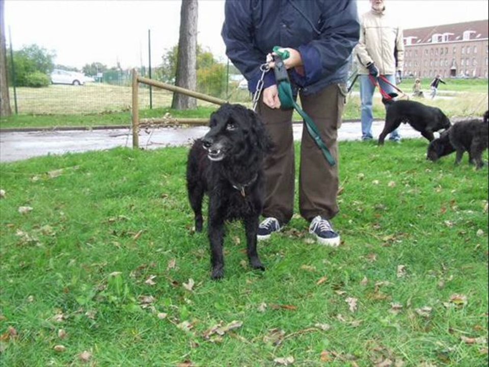portes ouvertes SPA de Dunkerque 14 et 15 Mai 2011
