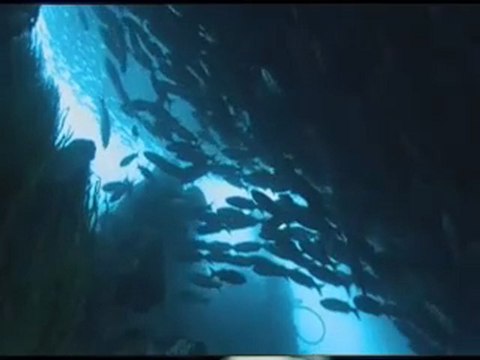 ALISA GLADYSeva / ALIAS GUITAR © TRUE LOVE ORIGINAL SONG COMPOSED AND PERFORMED